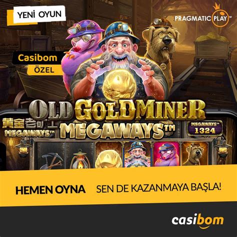 Netfusion Güncel Giriş Adresi