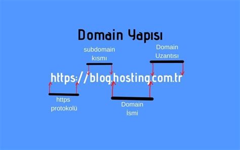Netfusion Yeni Domain Adresi